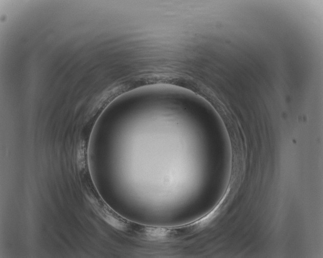 X0000081490144200701121519