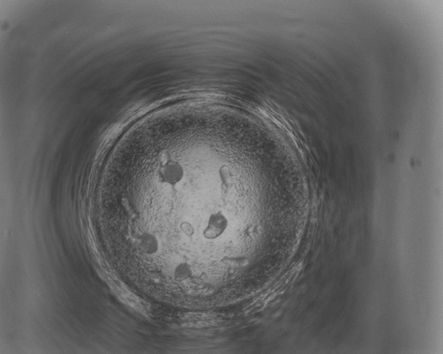 X0000081490145200701121519