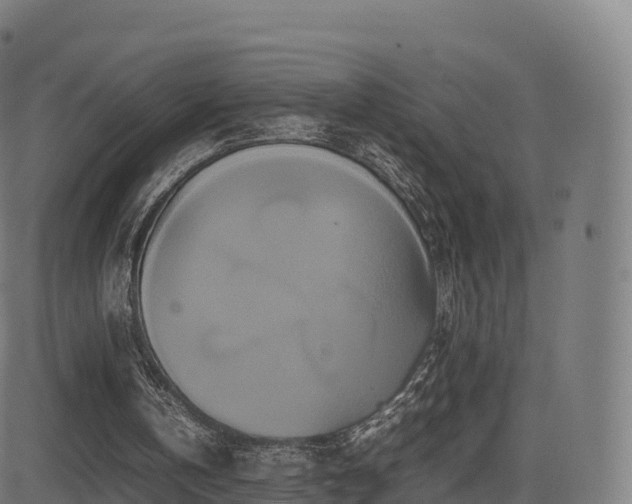 X0000081490146200701121519