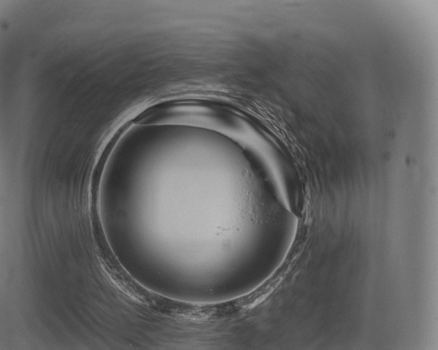 X0000081490148200701121519