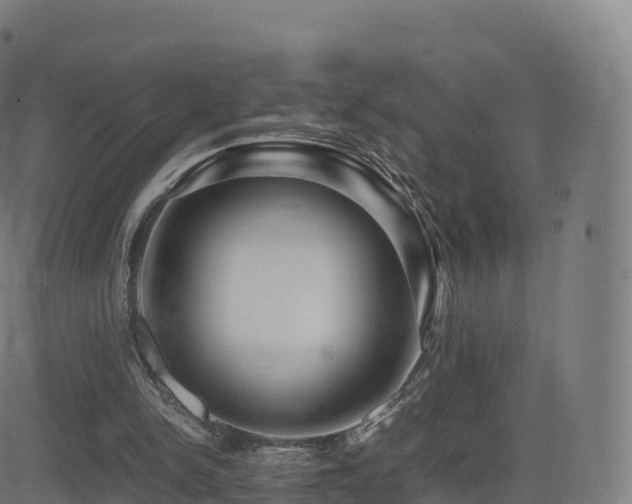 X0000081490150200701121519