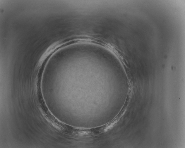 X0000081490151200701121519