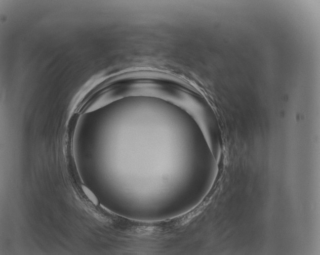 X0000081490152200701121519