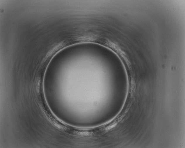 X0000081490153200701121519