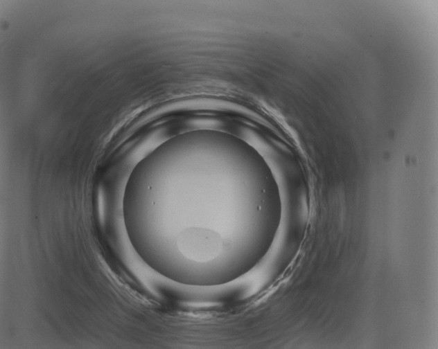 X0000081490154200701121519