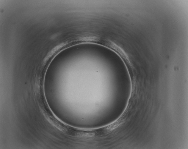 X0000081490155200701121519