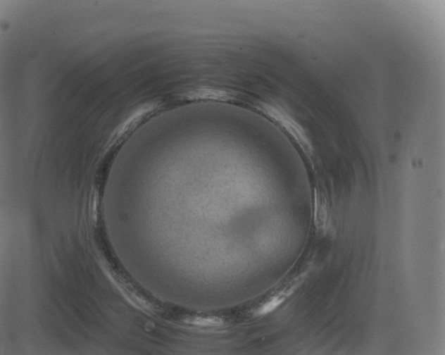 X0000081490157200701121519