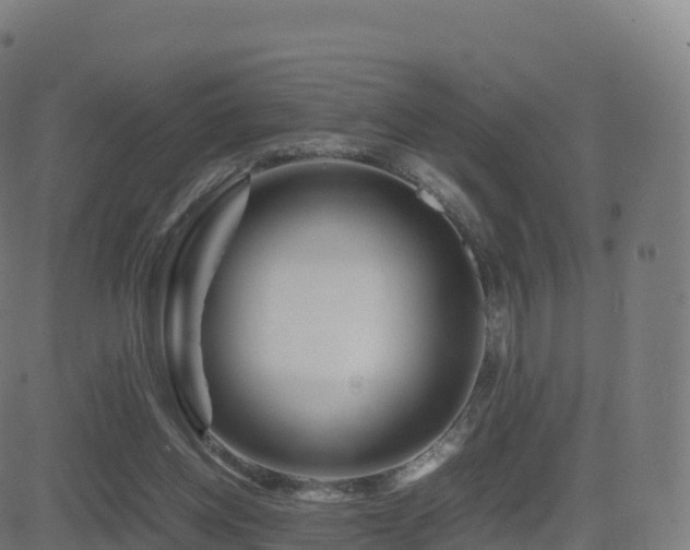 X0000081490158200701121519