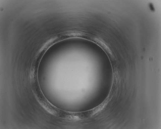 X0000081490159200701121519