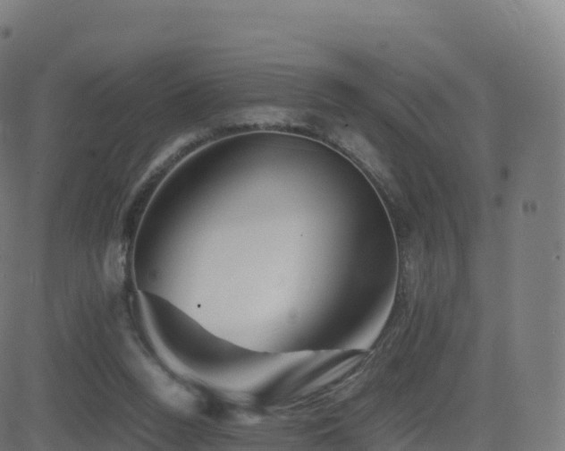 X0000081490160200701121519