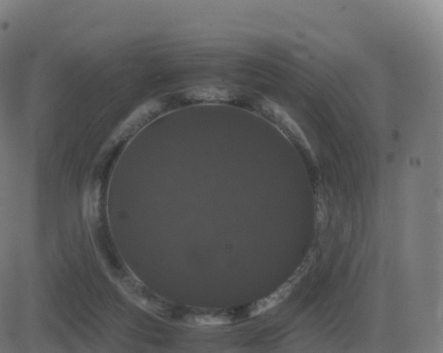 X0000081490163200701121519