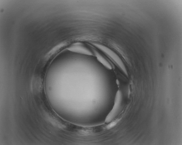 X0000081490164200701121519