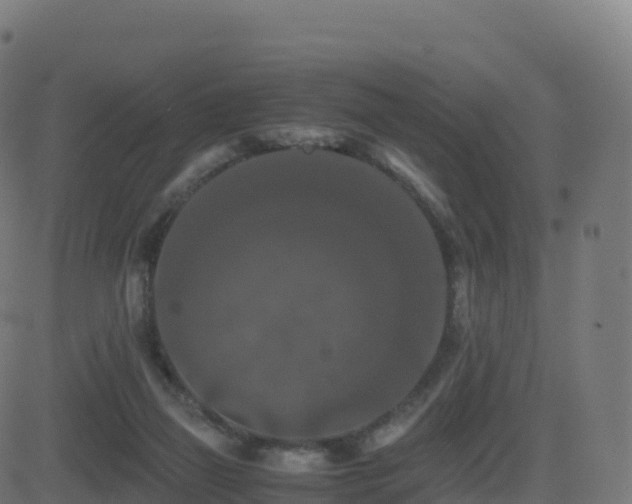 X0000081490165200701121519