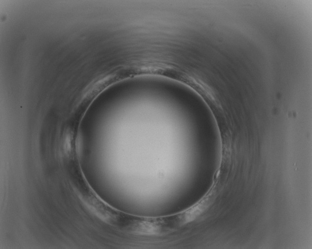 X0000081490166200701121519