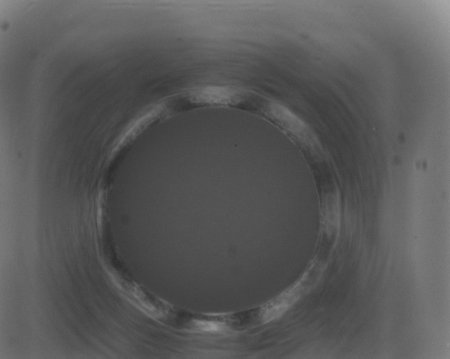 X0000081490167200701121519