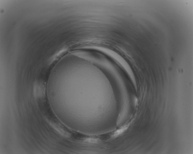 X0000081490168200701121519