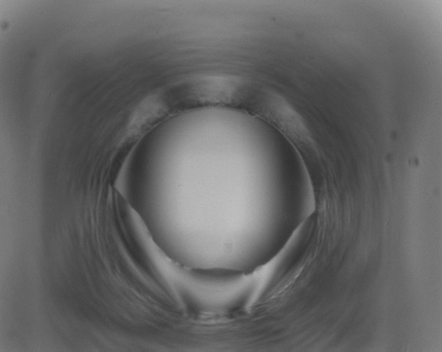 X0000081490172200701121519