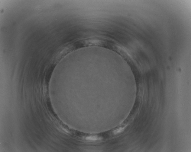 X0000081490173200701121519