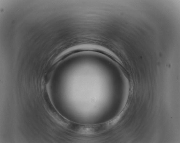 X0000081490174200701121519