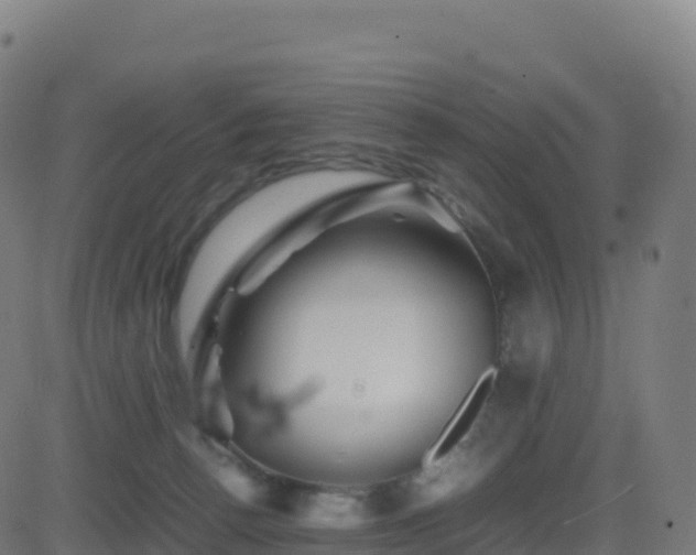 X0000081490176200701121519