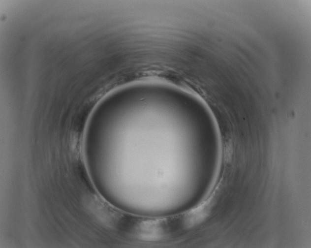 X0000081490178200701121519