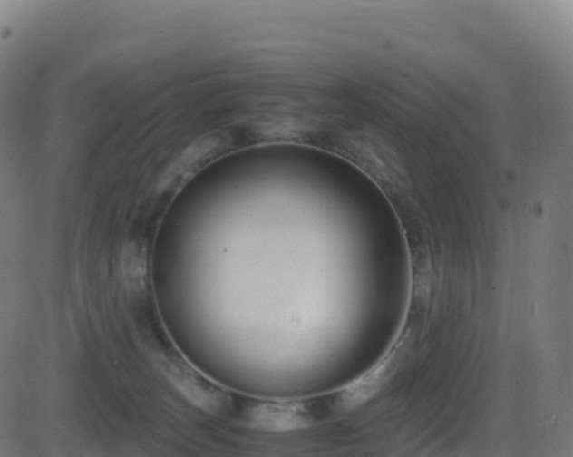 X0000081490179200701121519