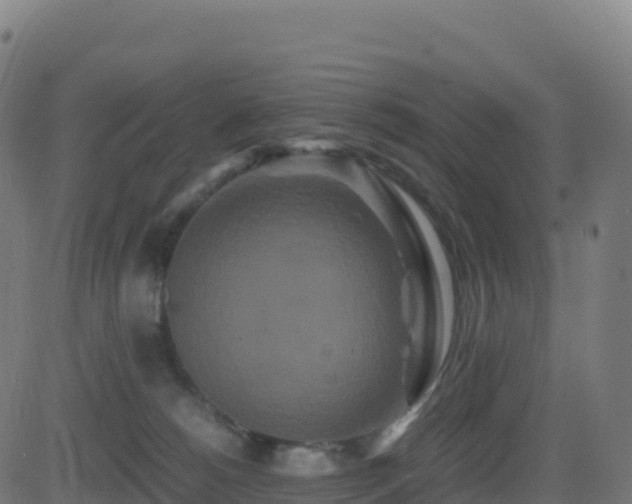 X0000081490180200701121519