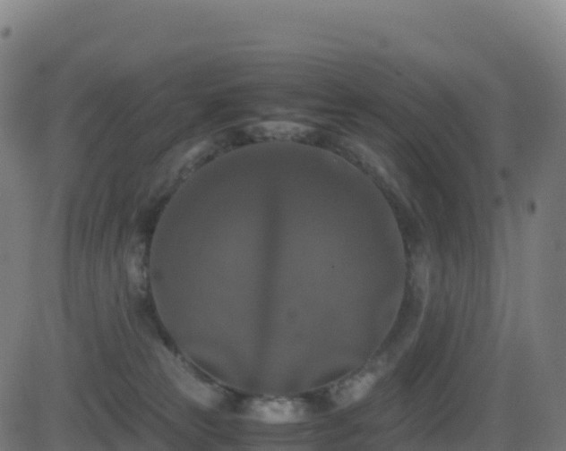 X0000081490181200701121519