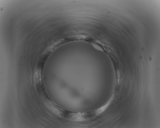 X0000081490182200701121519