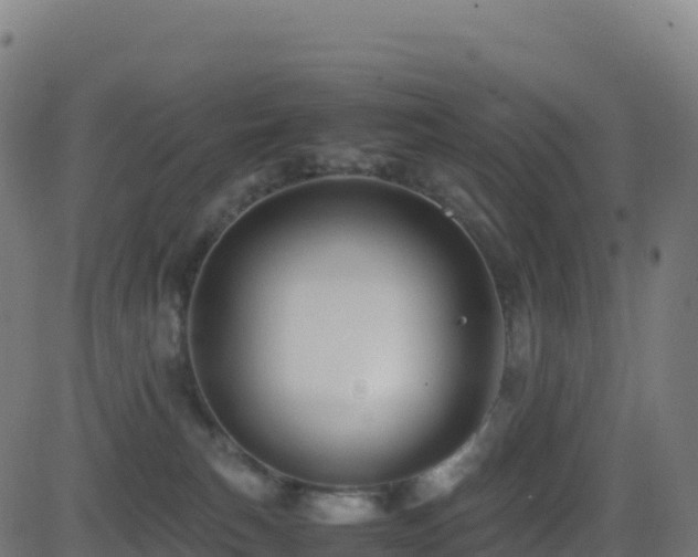 X0000081490183200701121519