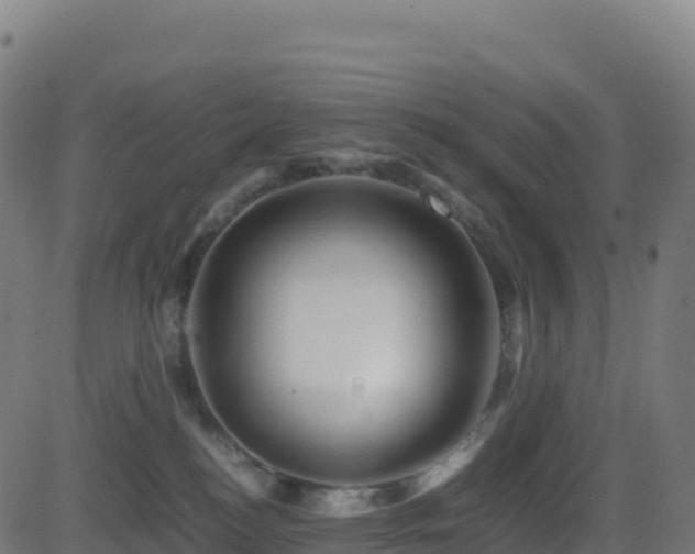 X0000081490184200701121519