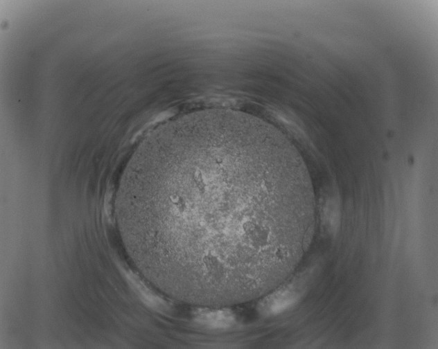 X0000081490185200701121519