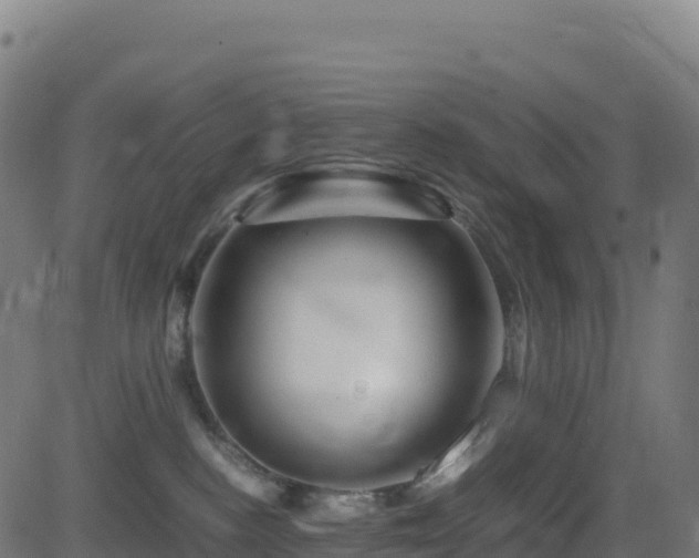 X0000081490188200701121519