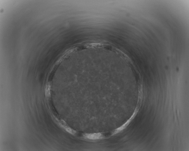 X0000081490191200701121519