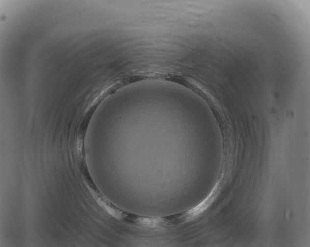 X0000081490192200701121519