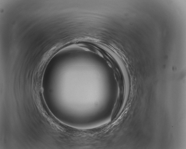 X0000081490193200701121519