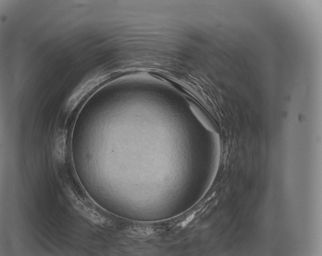 X0000081490194200701121519