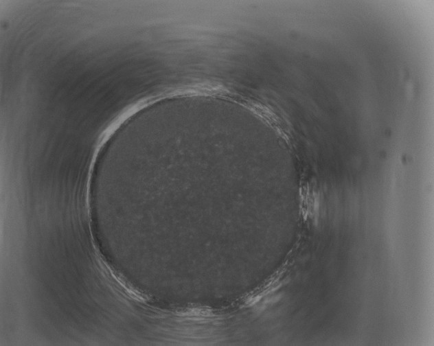 X0000081490196200701121518