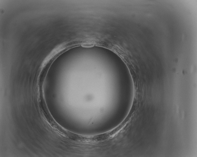 X0000081490198200701121518