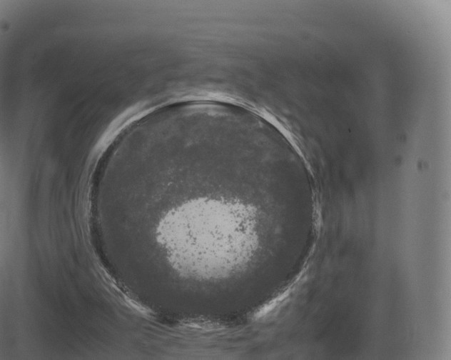 X0000081490199200701121518