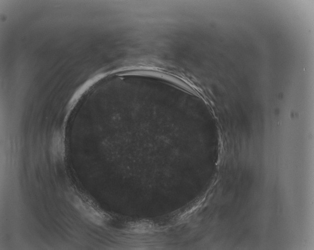 X0000081490200200701121518