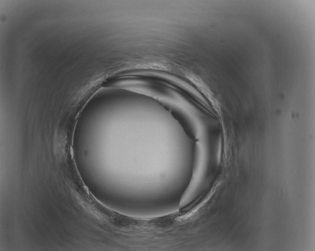 X0000081490201200701121518