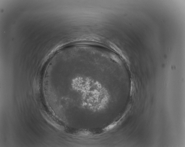 X0000081490203200701121518