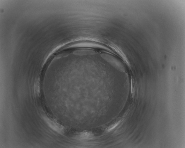 X0000081490204200701121518