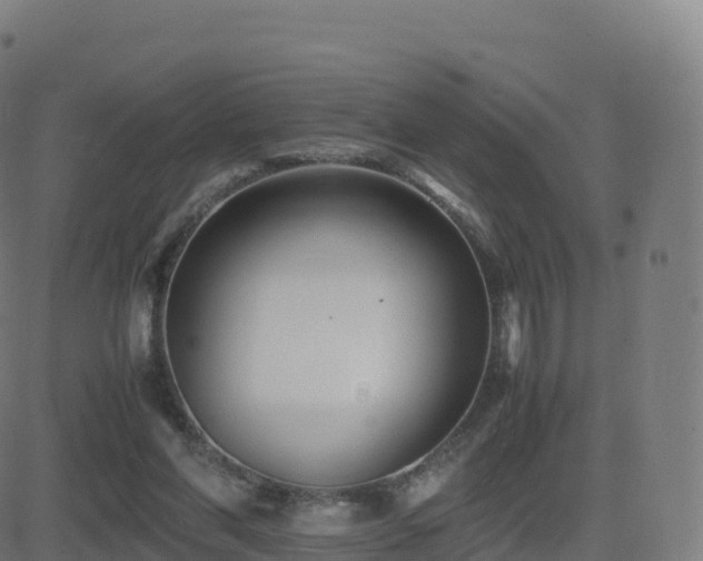 X0000081490206200701121518