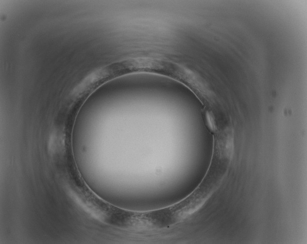 X0000081490207200701121518