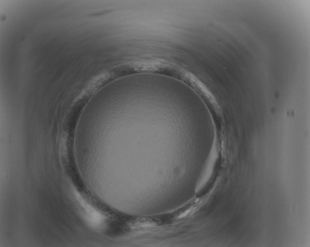 X0000081490209200701121518