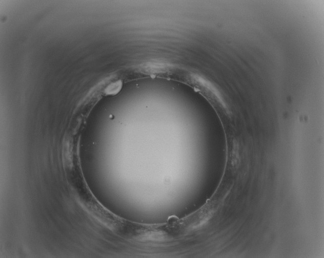 X0000081490210200701121518