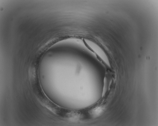 X0000081490211200701121518