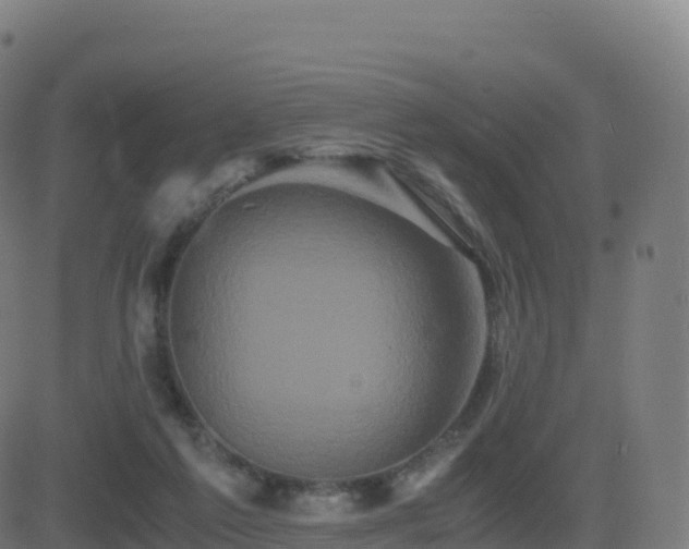 X0000081490213200701121518